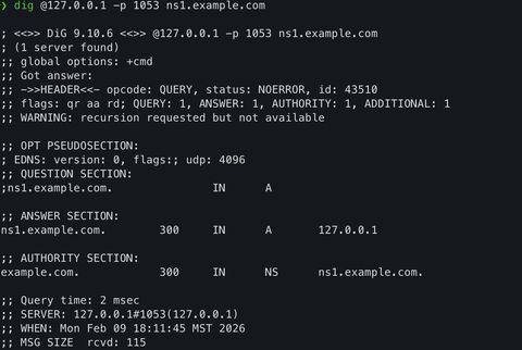A screenshot of the dig output