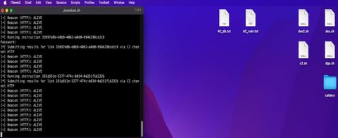 A screenshot of the C2 demo invoking
