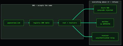 A name flowing through DNS that accepts it, into an application layer that refuses it