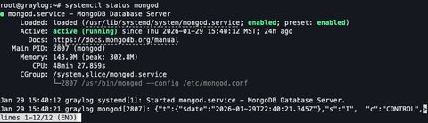 A screenshot of the output of mongod status