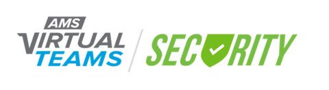 A screen showing a virtual team (VT) with a security focus