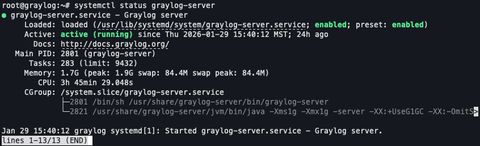 A screenshot of the output of server status