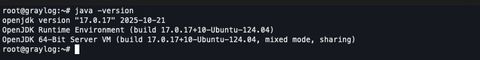 A screenshot of the output of java-version