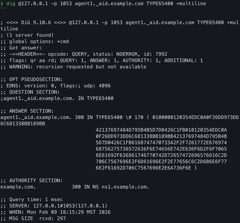A screenshot of the dig agent output
