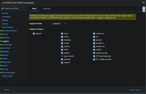 A screenshot of the infoblox dns service logging options